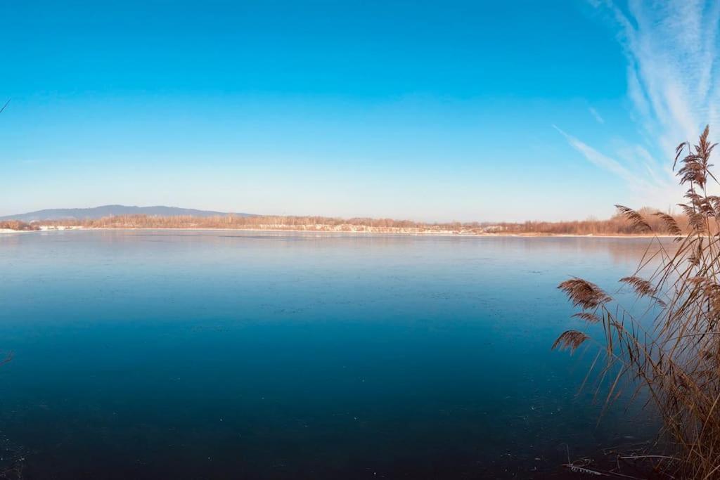 Haus-Am-See-Pratzschwitz Pirna Dış mekan fotoğraf